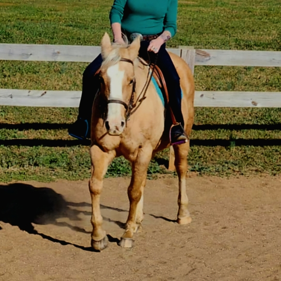 I Love A bargain & Passing It On. You Never Know What You May Find In My Closet - Picture 5 of 7